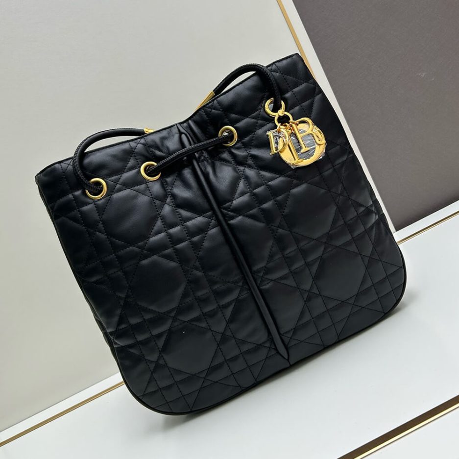large D*or nolita bag