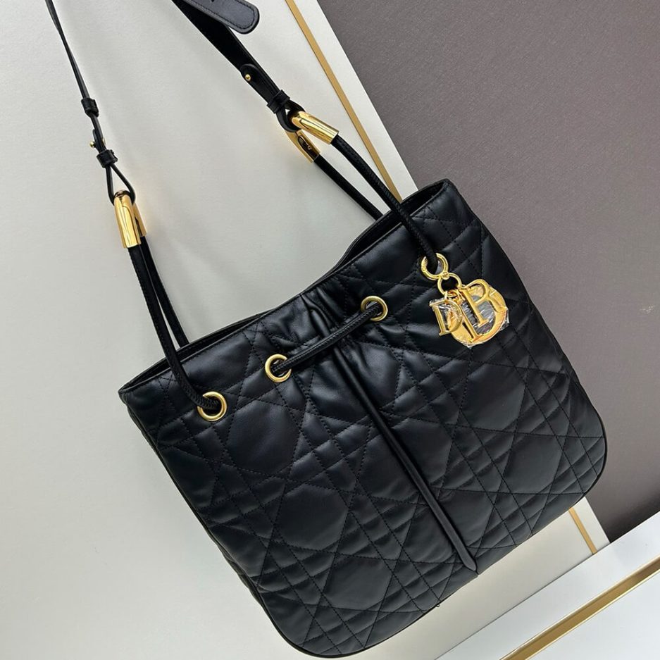 large D*or nolita bag