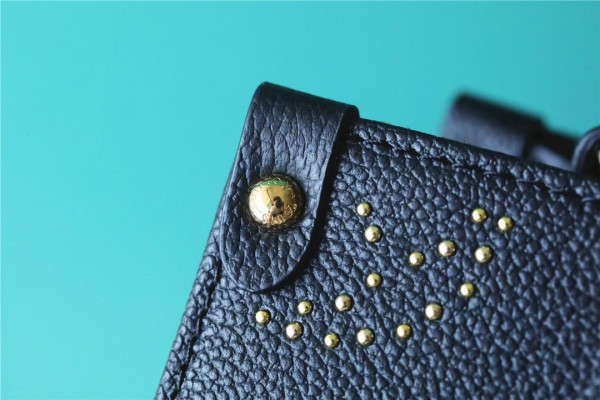 l0*is V*t0n onthego pm